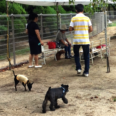 小型犬用