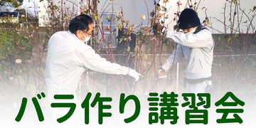 ローズセミナー