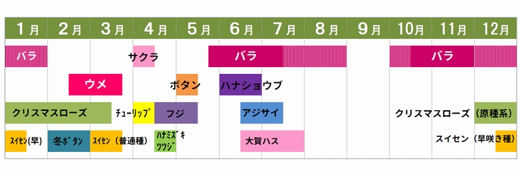 Rskバラ園