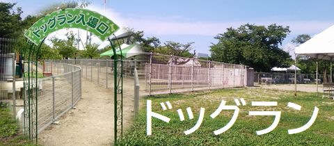 ドッグランについて